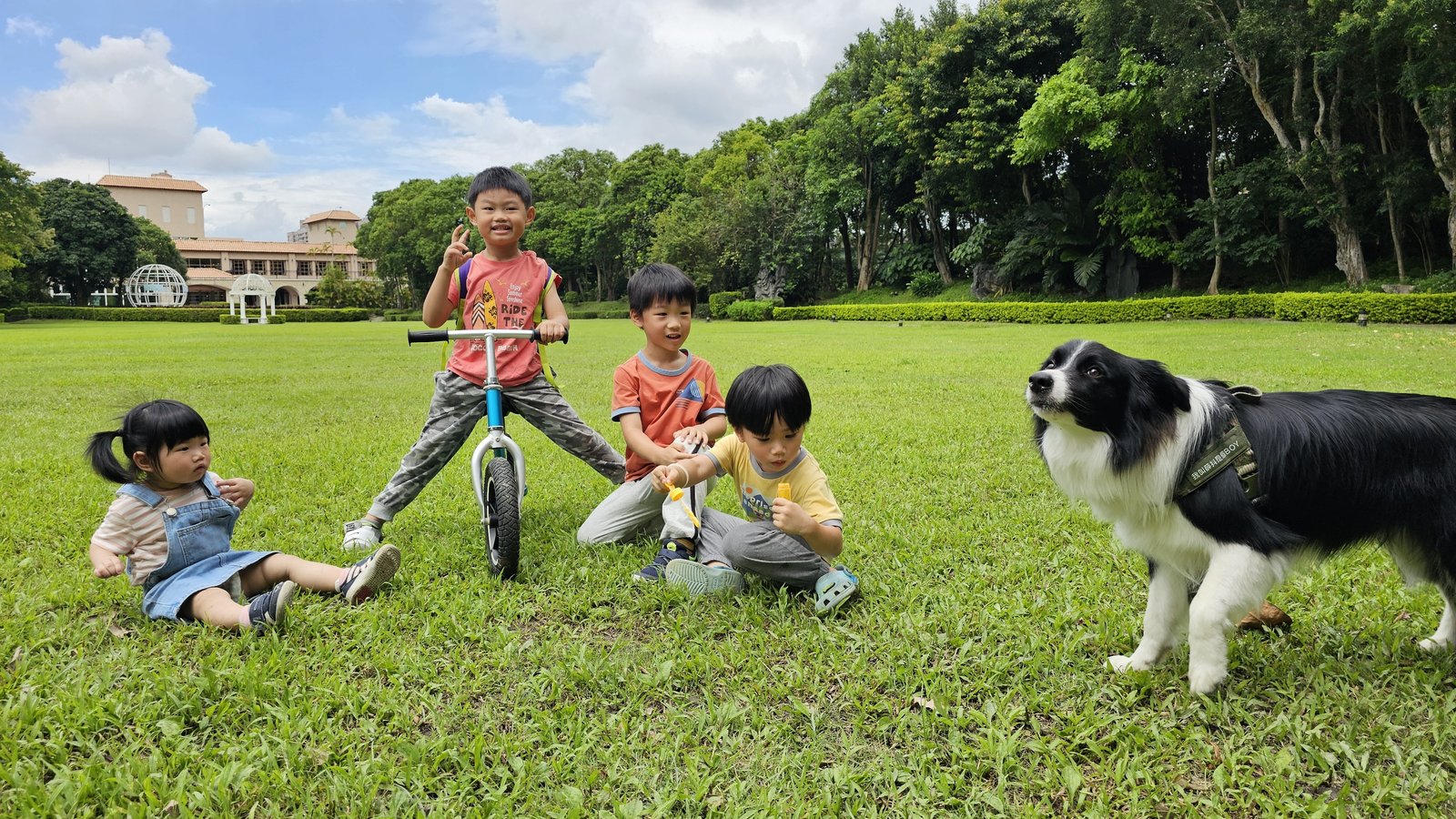 新北五股 準休閒農場：讓小孩放電的地方/ 滿山滿谷的嬰幼兒